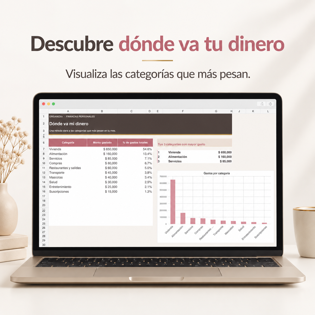 Organiza+ | Plantilla de Finanzas Personales