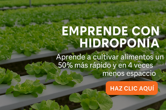 Hidroponía