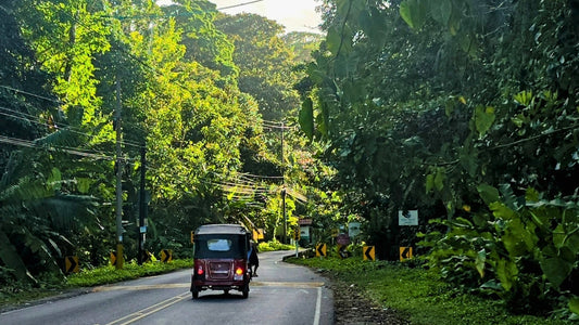 🌴 Puerto Viejo, Costa Rica: Naturaleza Salvaje y Encanto Rústico en el Caribe